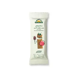 Natureland Organic Oat Bar - Raisins & Red Berries